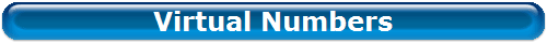 Virtual Numbers