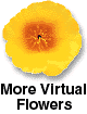 virtualflowers